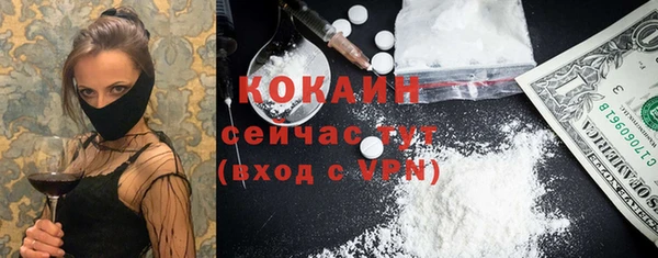 spice Кодинск